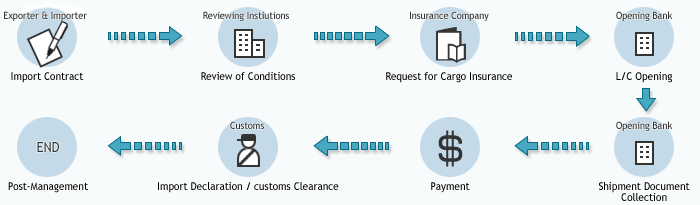 Customs Process Flow Chart